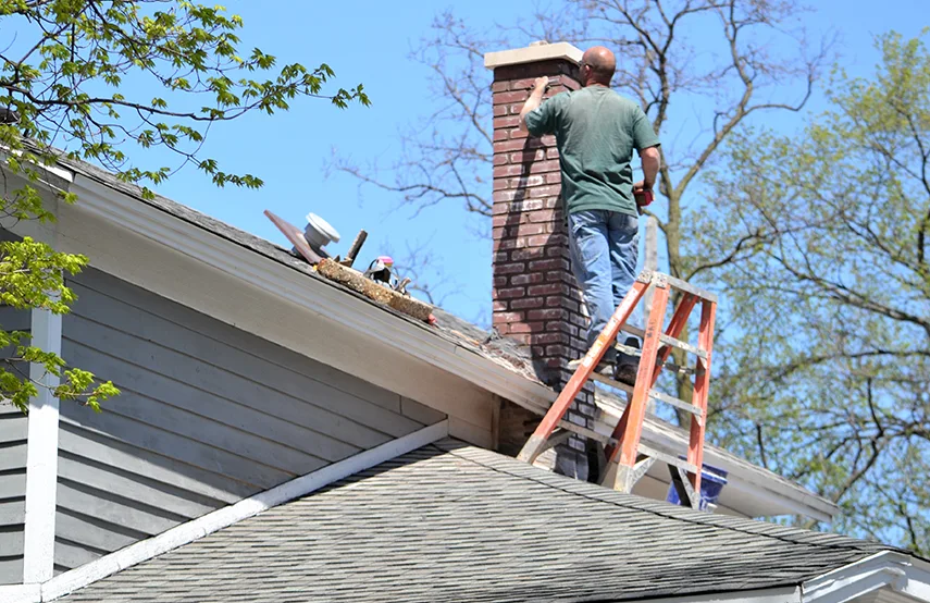 Chimney & Fireplace Inspections Services in New Smyrna Beach, FL